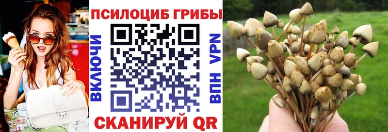 ссылка на мегу рабочий сайт  купить наркотики сайты  Горячеводский  Псилоцибиновые грибы Psilocybe 